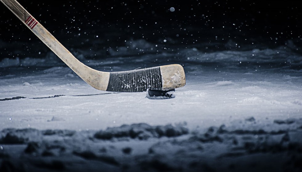NHL Season Update: Thanksgiving Edition