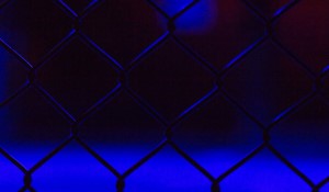 UFC Fans Witness Petr Yan's Masterclass in Macao