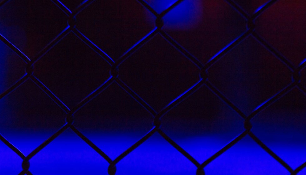 Ronda Rousey: A Candid Revelation on Neurological Decline